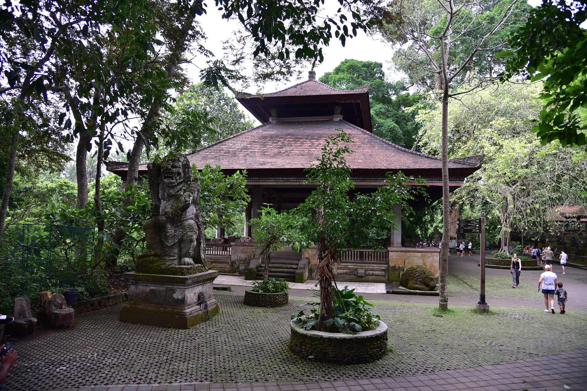 Ubud Monkey Forest, Bali - Sacred Monkey Forest Sanctuary